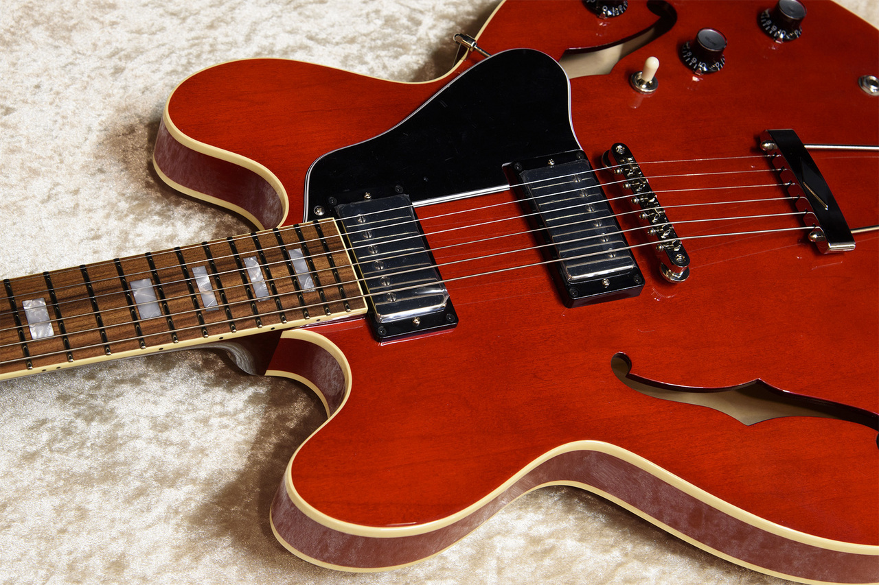 Archtop Tribute AT135TTP（新品）【楽器検索デジマート】