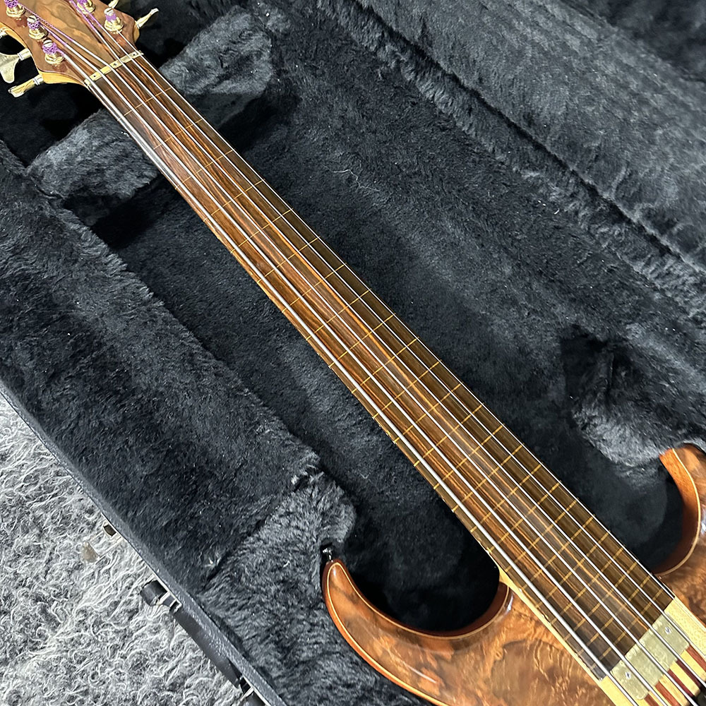 ALEMBIC Europa 6st FL（中古/送料無料）【楽器検索デジマート】