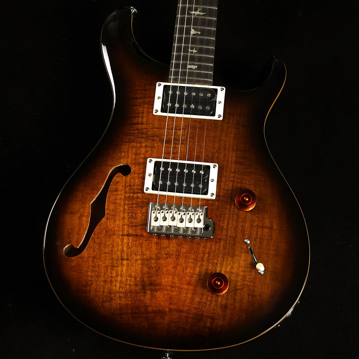 Paul Reed Smith(PRS) SE Custom22 Semi Hollow Black Gold Burst