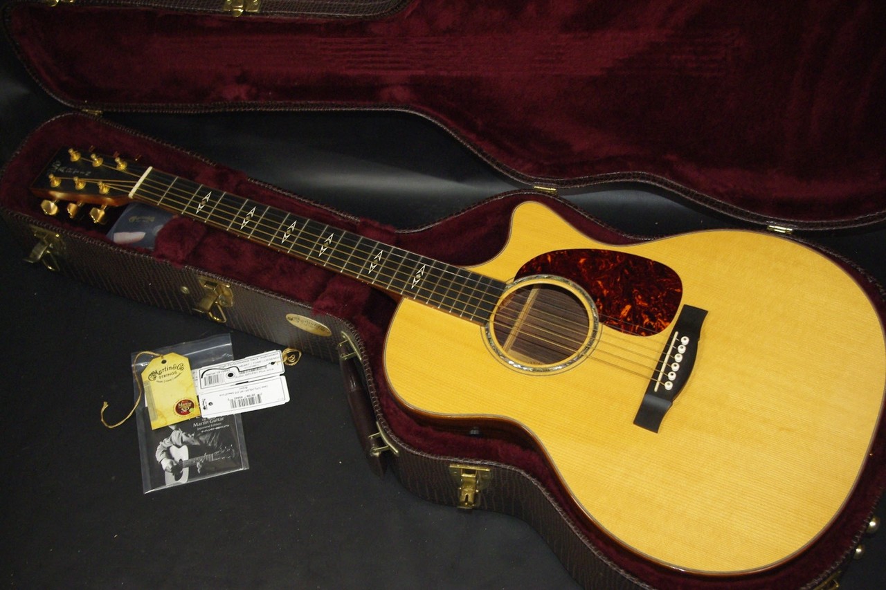 希少品】縦ロゴ Martin GPCPA1 Plus エレアコ 希少品】縦ロゴ Martin