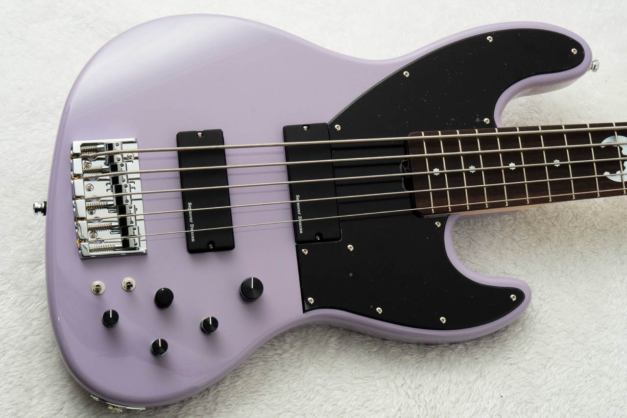 SCHECTER AC-EXB-5-AveMujica/Timoris/SIG #260707 【Ave Mujica