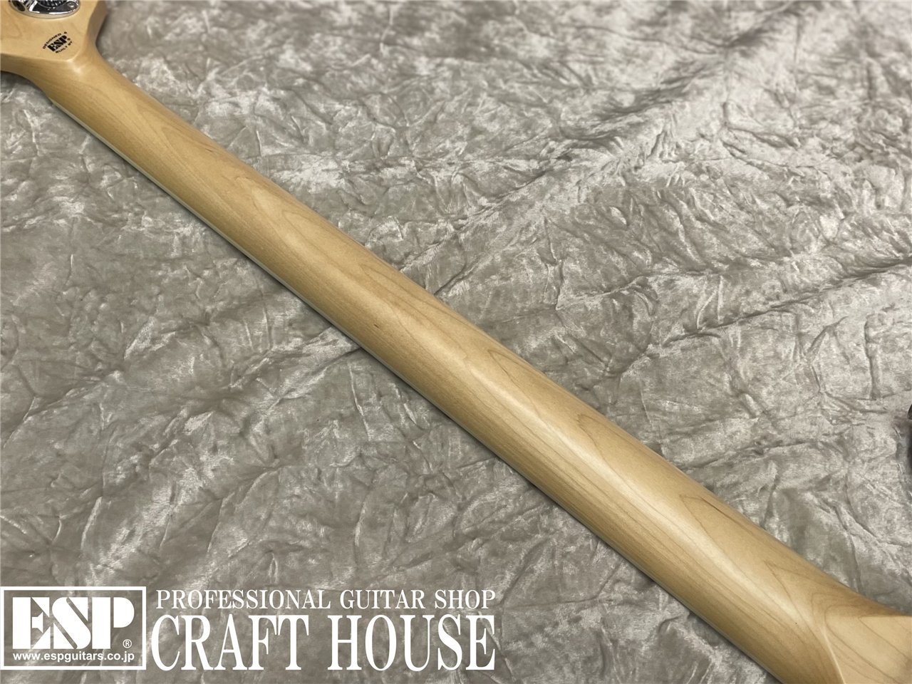 EDWARDS E-GROOVER-PB / See thru Brown （中古/送料無料