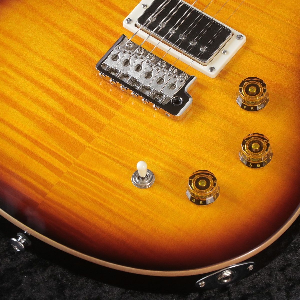 PRS SE 2024 SE DGT(David Grissom Trem) Bird Inlays McCarty Tobacco