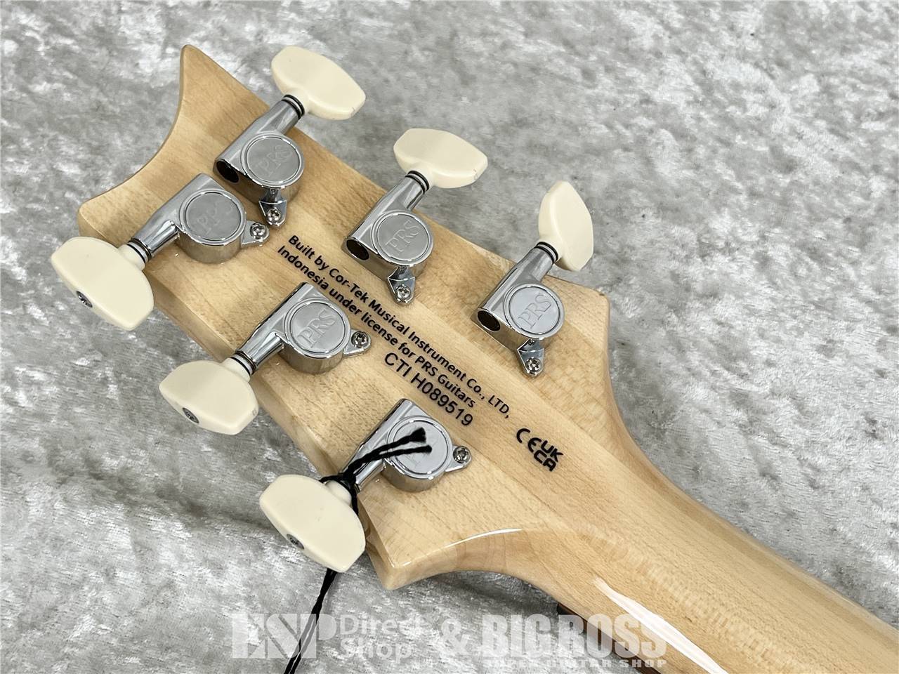 Paul Reed Smith(PRS) SE Custom 24 / Blue Matteo (2025年製)（新品