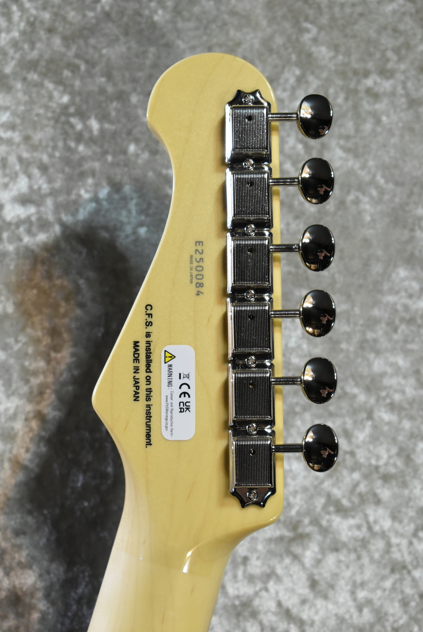 FUJIGEN(FGN) NTE100RAL Candy Apple Green #E250084【3.45kg