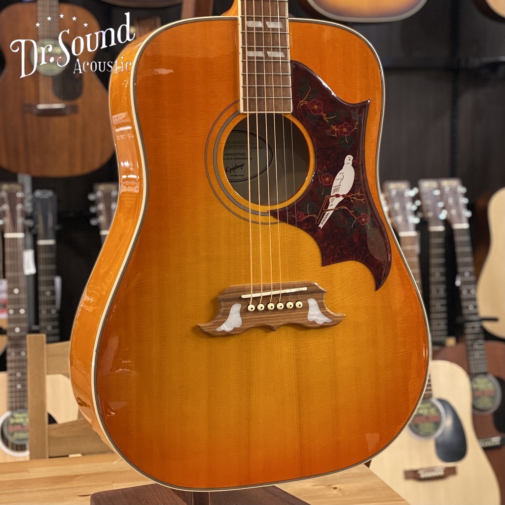 美品】Epiphoneエレアコ DovePRO/VB DOVE Studio