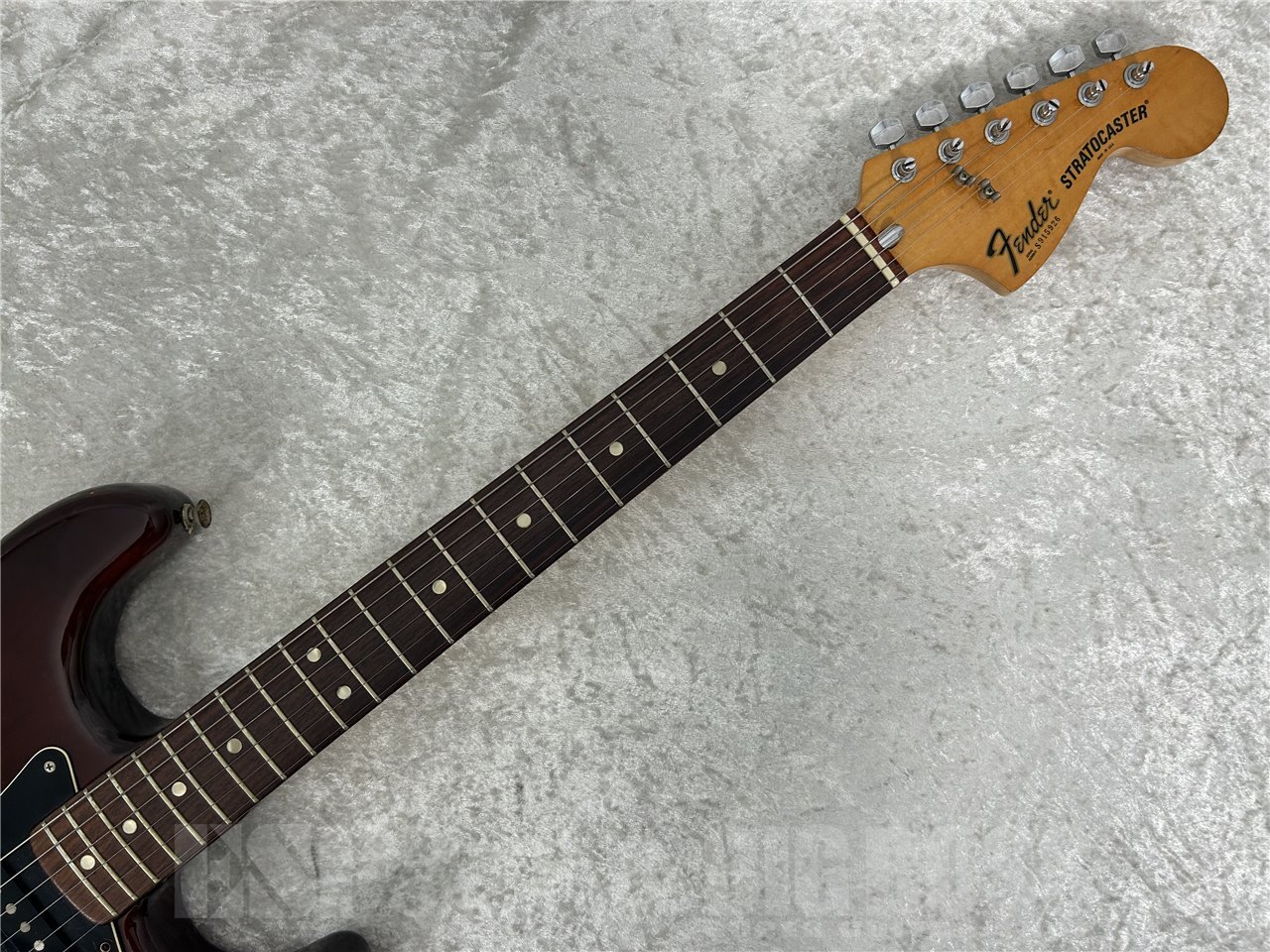 Fender 1979 Stratocaster(Walnut)（ビンテージ/送料無料）【楽器検索