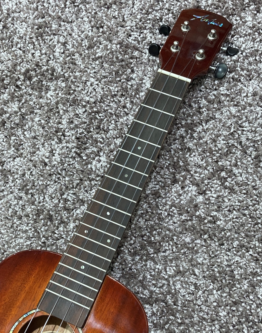 Argus AC-5【マホガニー単板・コンサートサイズ】（新品/送料無料