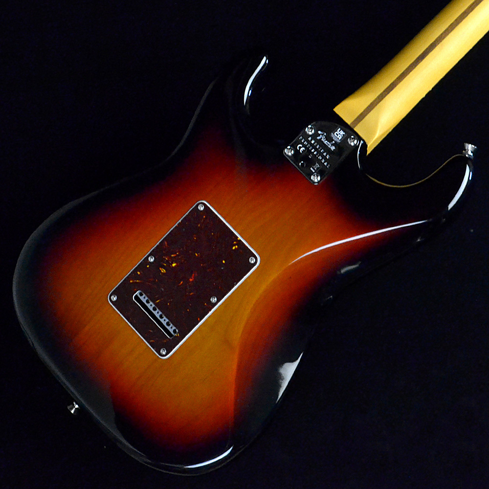 Fender/usa AM DX ST WBL/R - www.navrashtramedia.com