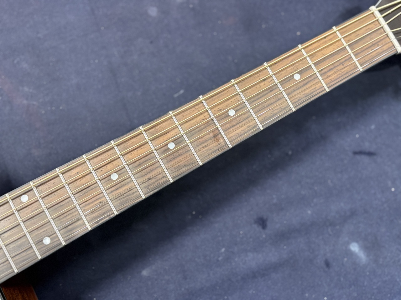 Morris F-1 NAT【専用ケース付】（新品/送料無料）【楽器検索デジマート】