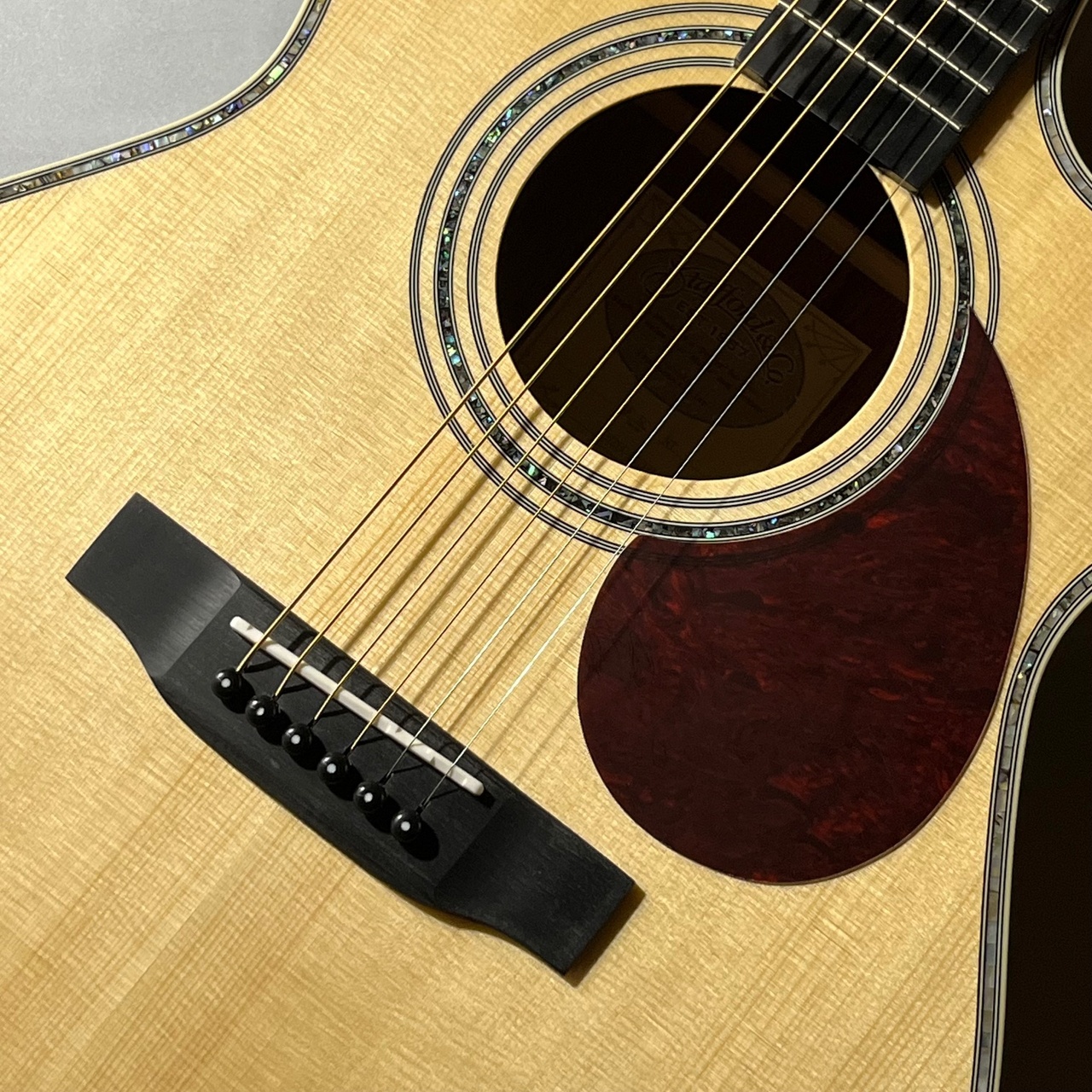 Stafford 【大人気エントリーモデル】SF-5C(ナチュラルカラー)（新品