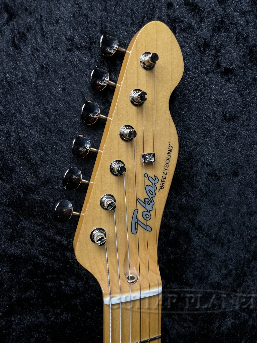 Tokai ATE-102 /M OWB（新品）【楽器検索デジマート】