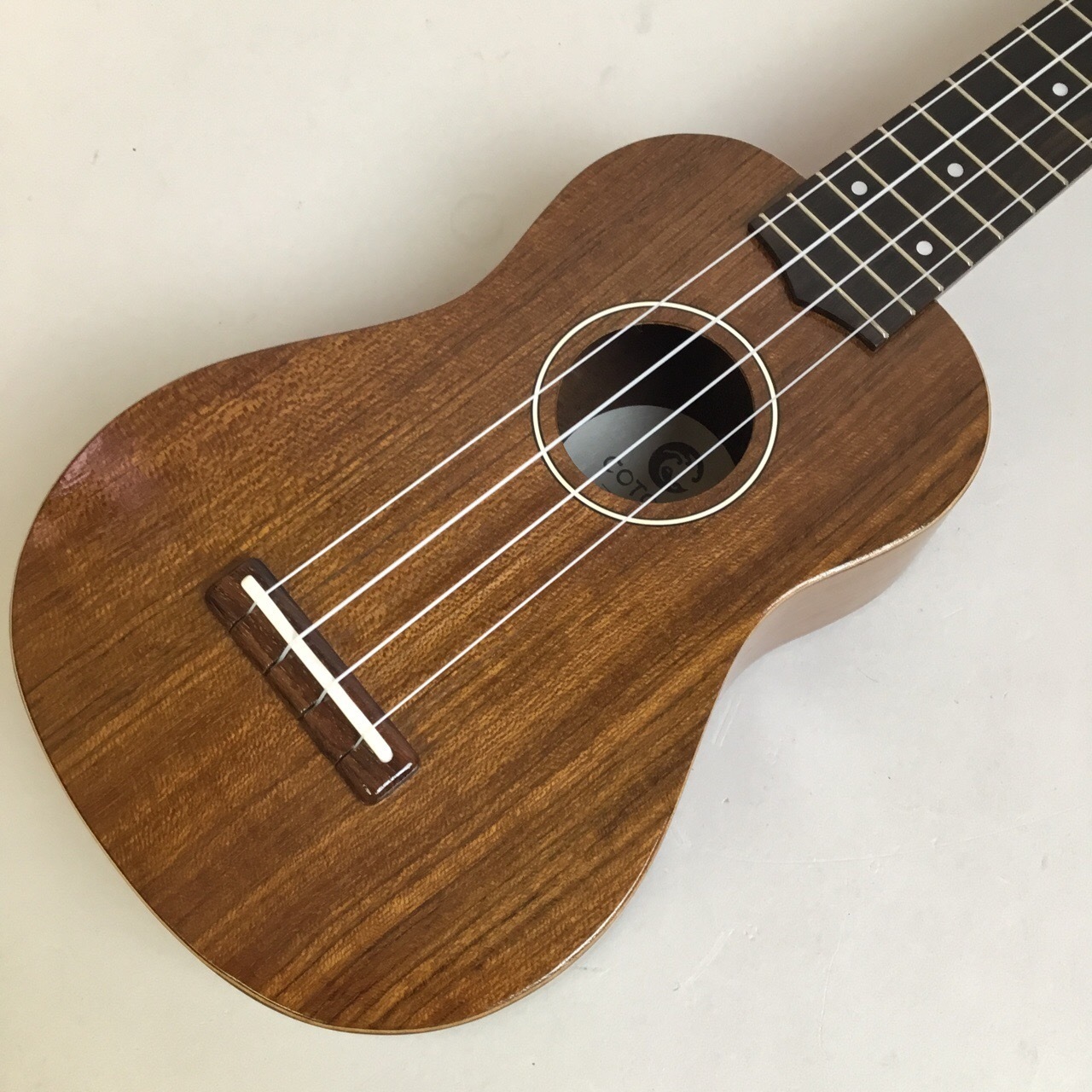 COTONE CS3S（新品/送料無料）【楽器検索デジマート】