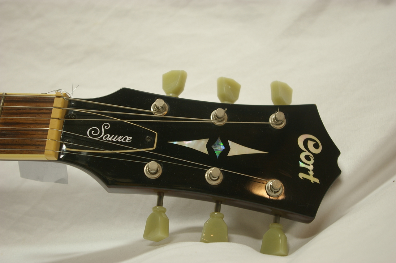 Cort Source 335（中古）【楽器検索デジマート】