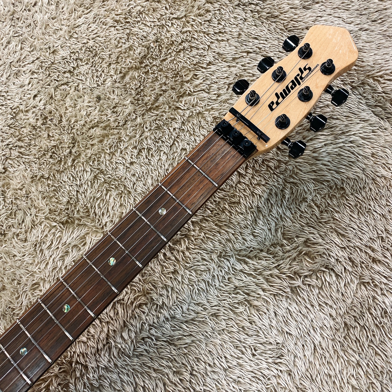 Begin掲載 edwards E-RS-160R Zebra ランダムスター