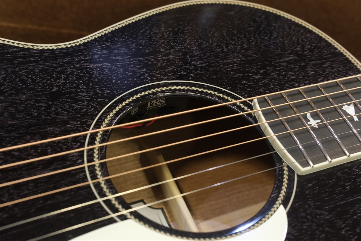 Paul Reed Smith(PRS) SE P20E Parlor with Fishman / Dog Hair