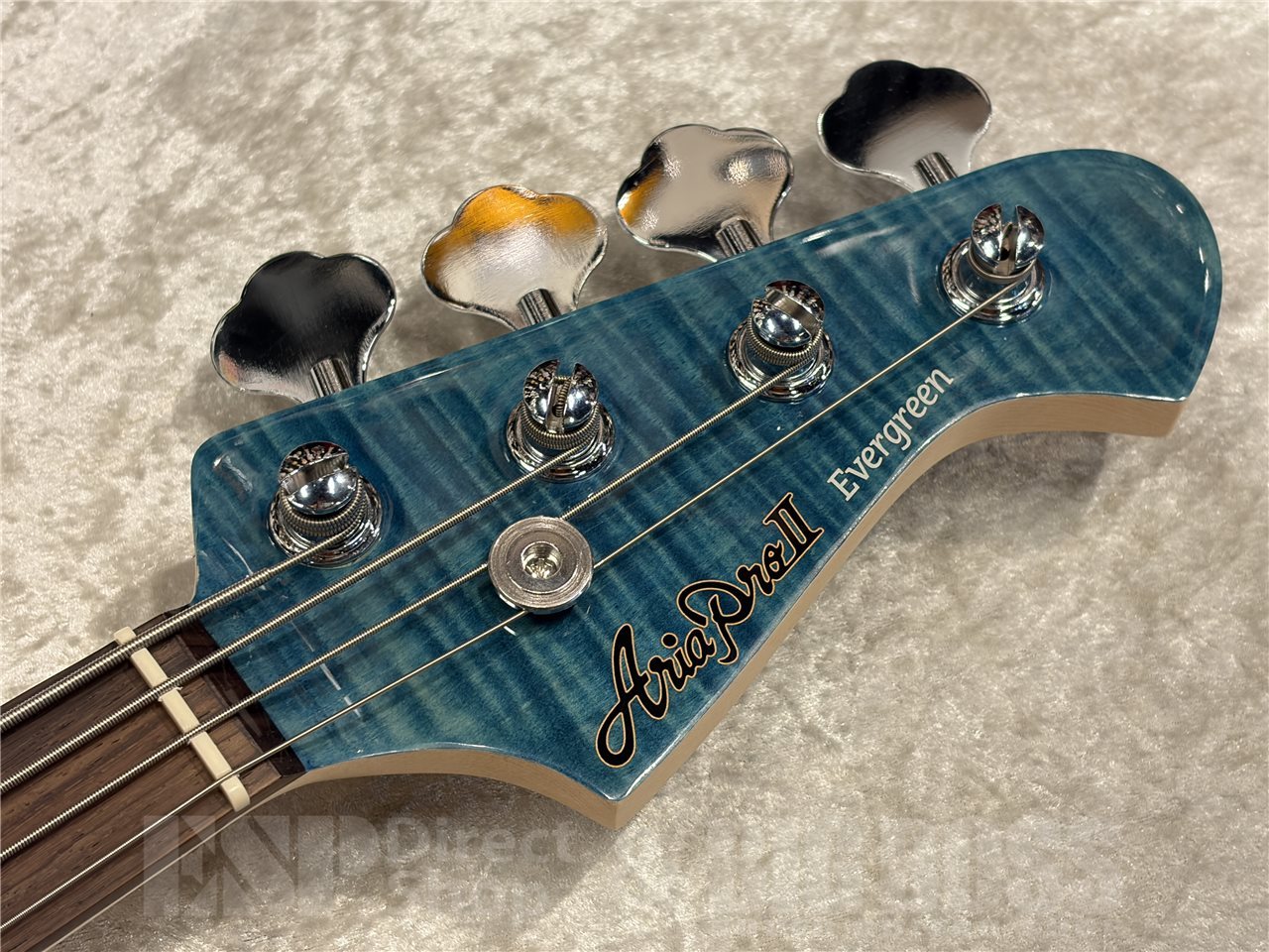 Aria Pro II STB-AE200【Lorelei Blue】（新品/送料無料）【楽器検索