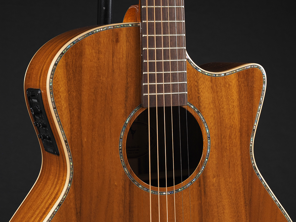 DCT GR-645K CE ~Natural Gloss~（新品/送料無料）［デジマートSALE