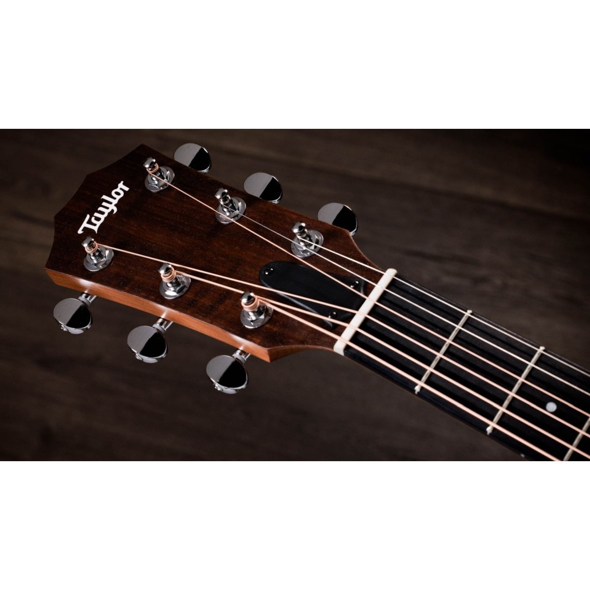 Taylor 24ce Zero Series [2025年新製品][単板マホガニートップ