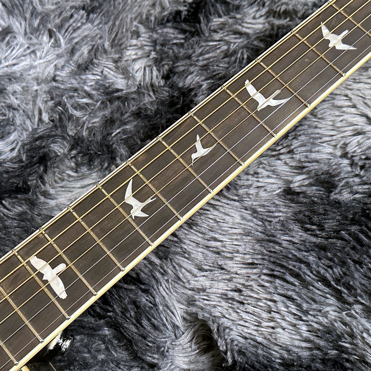 Paul Reed Smith(PRS) SE P20E Parlor Dog Hair【NEWカラー