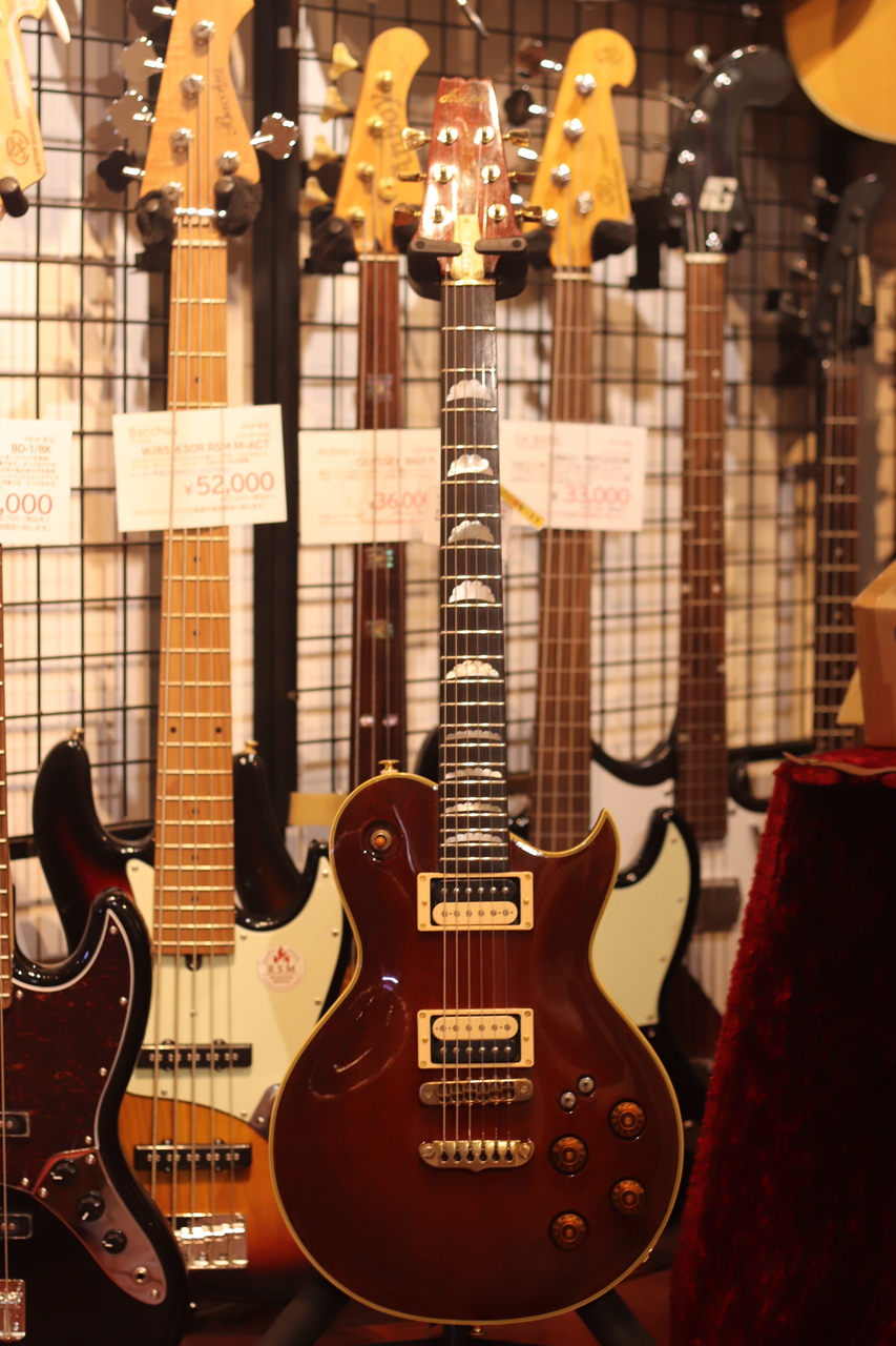 Aria Pro II PE-R80 1981 Antique Brown（ビンテージ/送料無料）【楽器