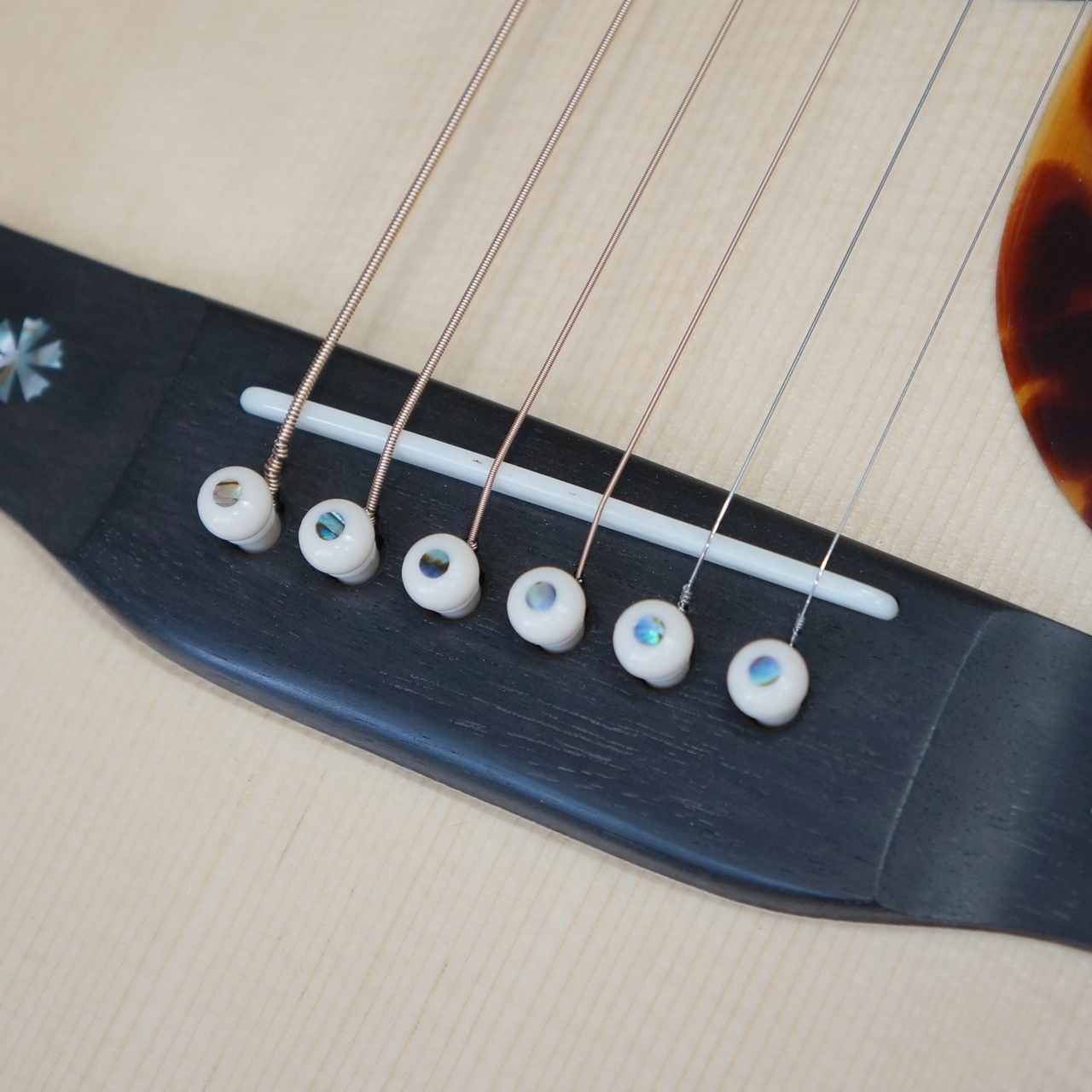 ASTURIAS D. EMBLEM（新品）【楽器検索デジマート】