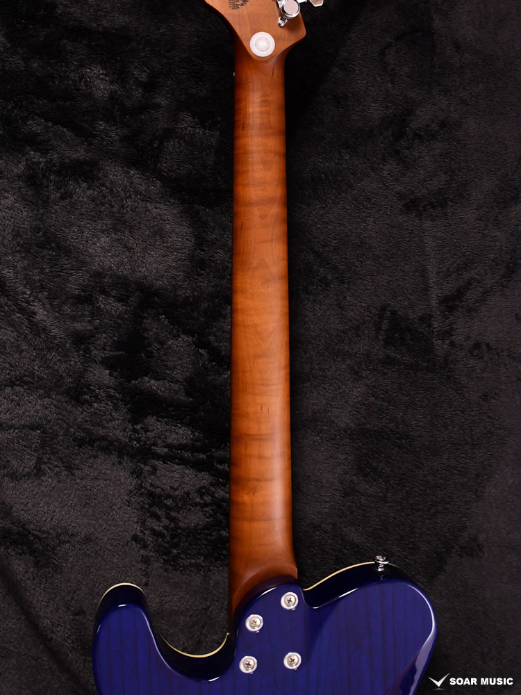 Bacchus Bacchus TACTICS24-ASH/RSM STB (BLUE PG)シースルーブルー