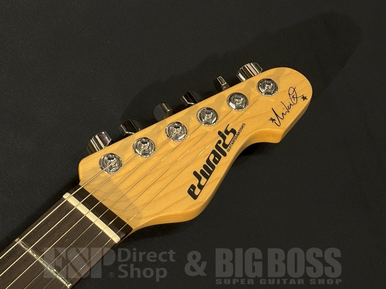 EDWARDS E-SNAPPER Fujioka Custom（新品/送料無料）【楽器検索