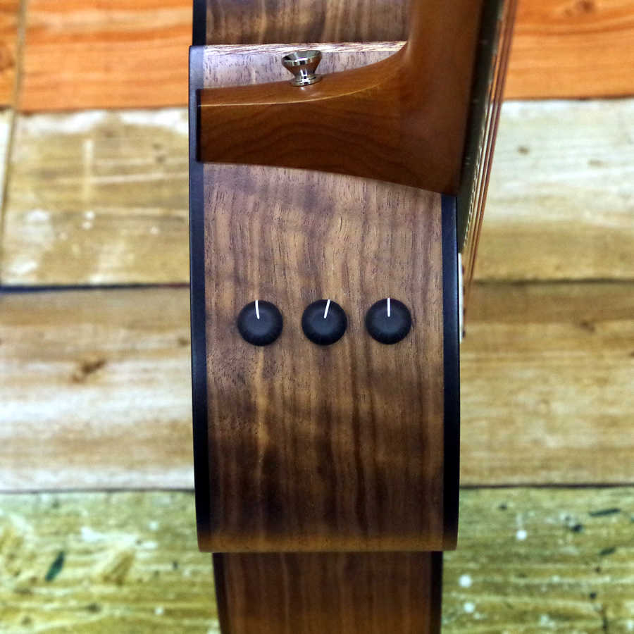 Taylor 114ce-Walnut(生産完了モデル)（新品/送料無料）【楽器