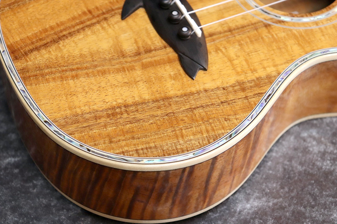BIG ISLAND KX-CTG #260028【コンサート】【ハワイアンコア単板