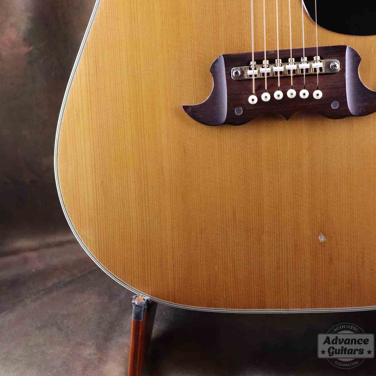 Terada Guitars Terada FW-504（中古）【楽器検索デジマート】