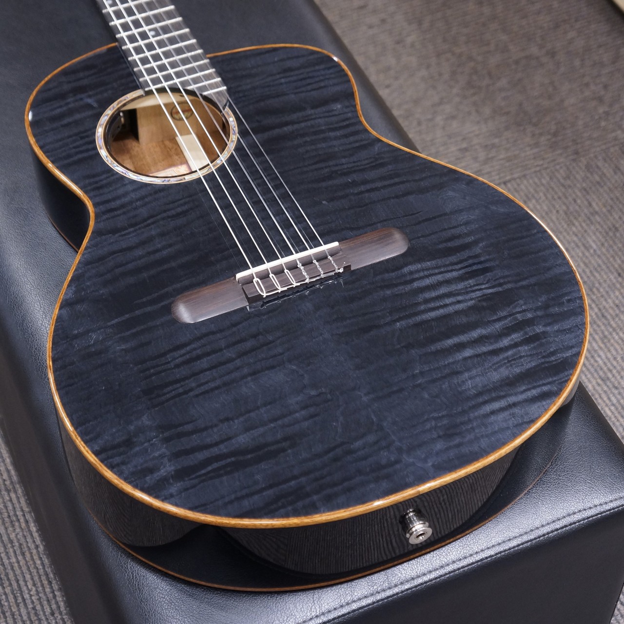 aNueNue aNN-LN77E（新品/送料無料）【楽器検索デジマート】