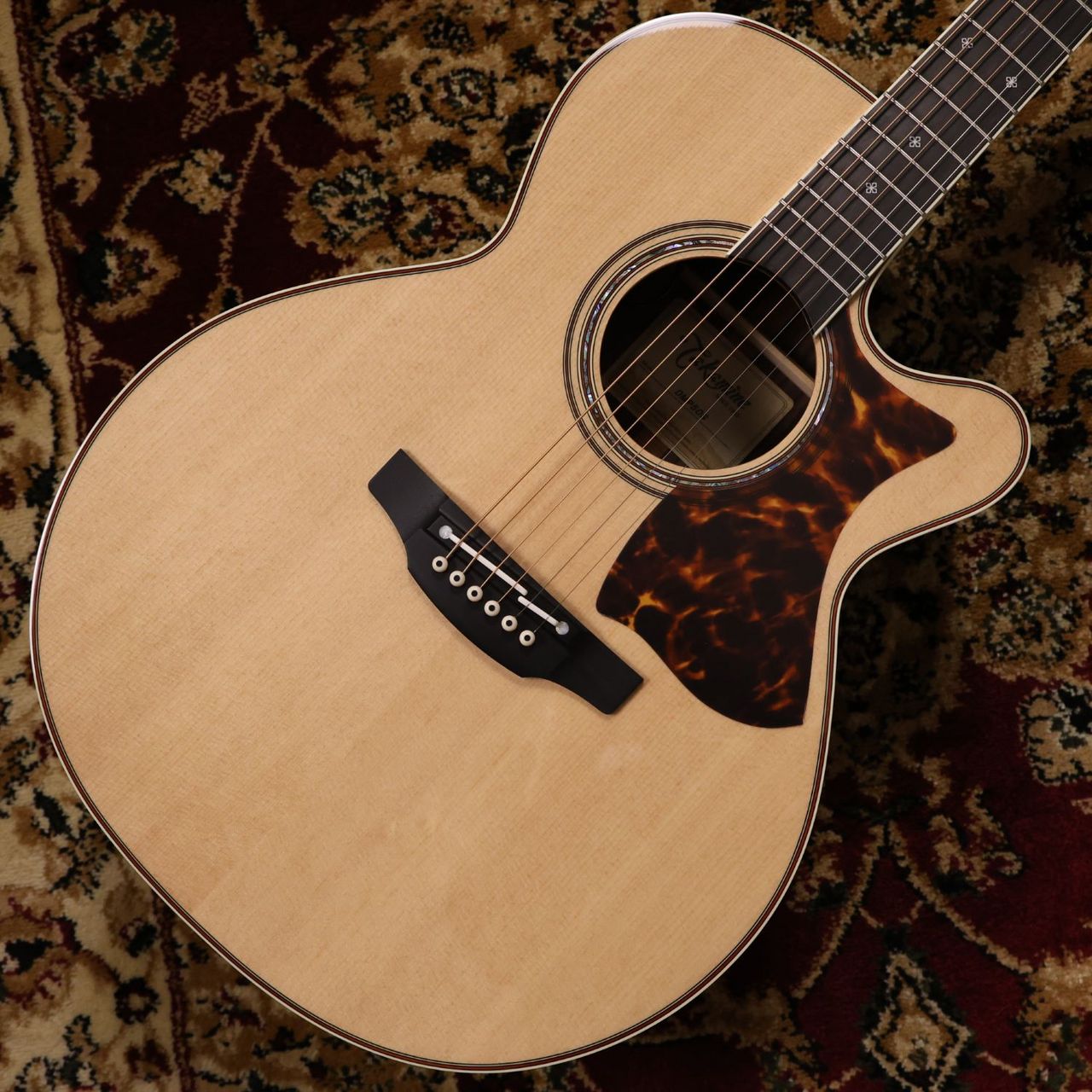 Takamine DMP50S NAT エレアコギター セミハードケース付属【現物写真