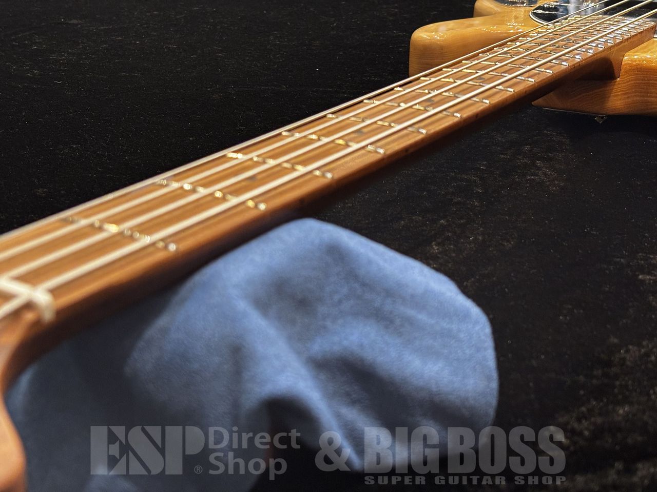Spector Japan Exclusive Series EURO 5 LX Lacquer AGED【Tint 