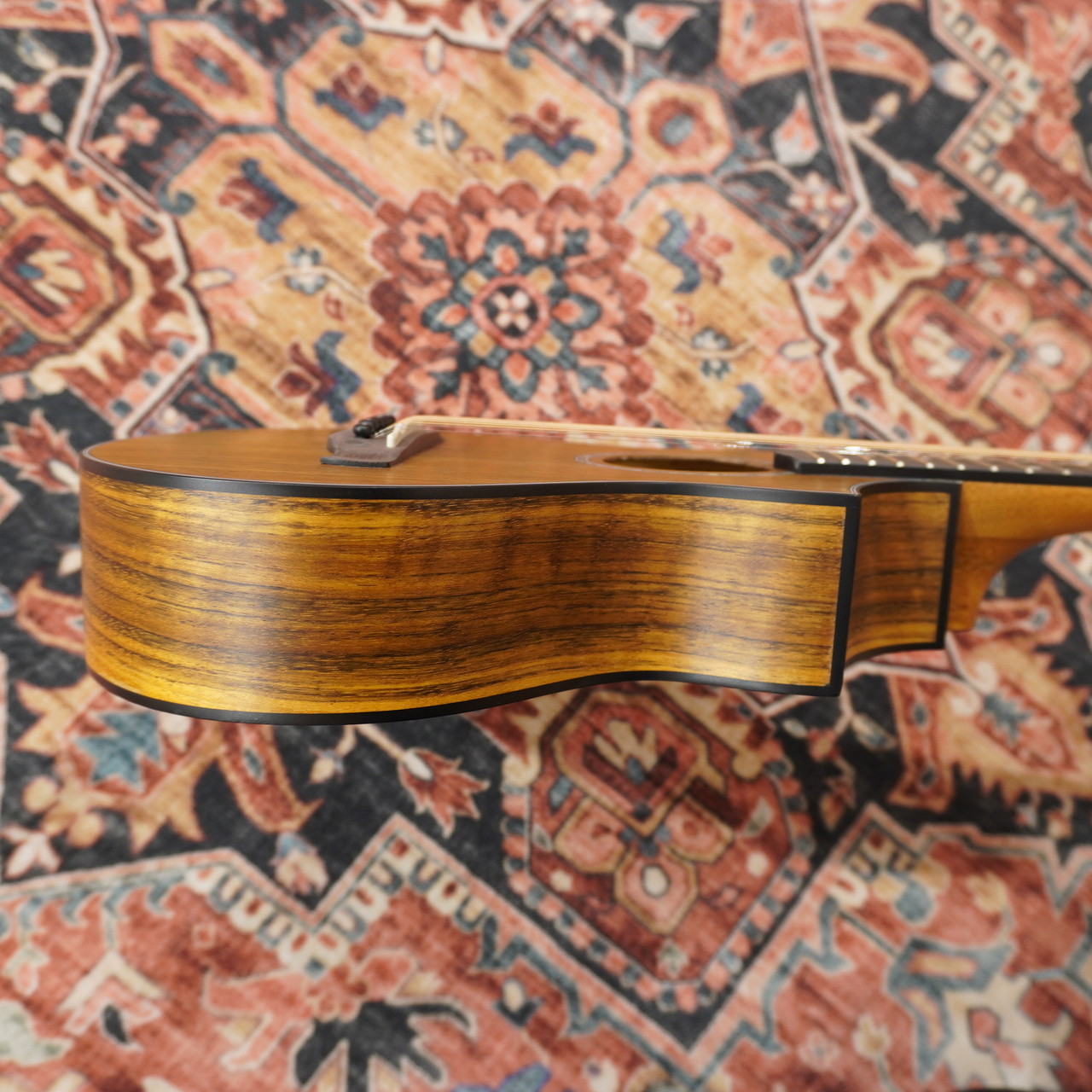 Ibanez EWP14WB-OPN (Open Pore Natural)【WINTER SELECTION特価