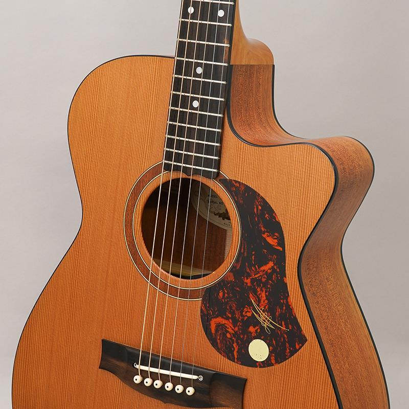 Maton メイトン EBW808C 中古 MATON EBW808C|ドルフィンギターズ