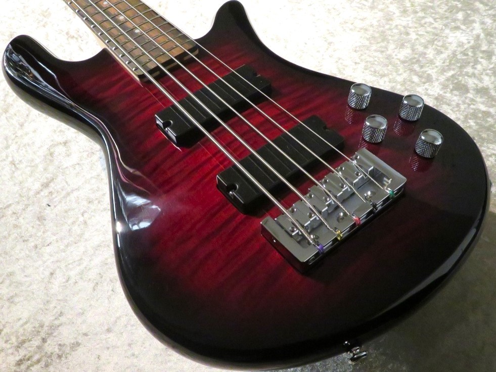 Spector Legend 5 Standard -Black Cherry-【5弦】【4.12kg】 （新品