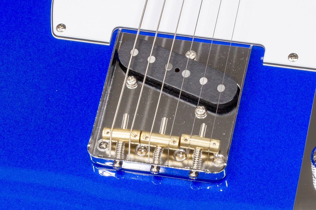 FUJIGEN エレキギター　BCTE100RBD-MBL/01 楽天市場】FgN(FUJIGEN) / BCTE100RBD MBL 新品[フジゲン,富士弦