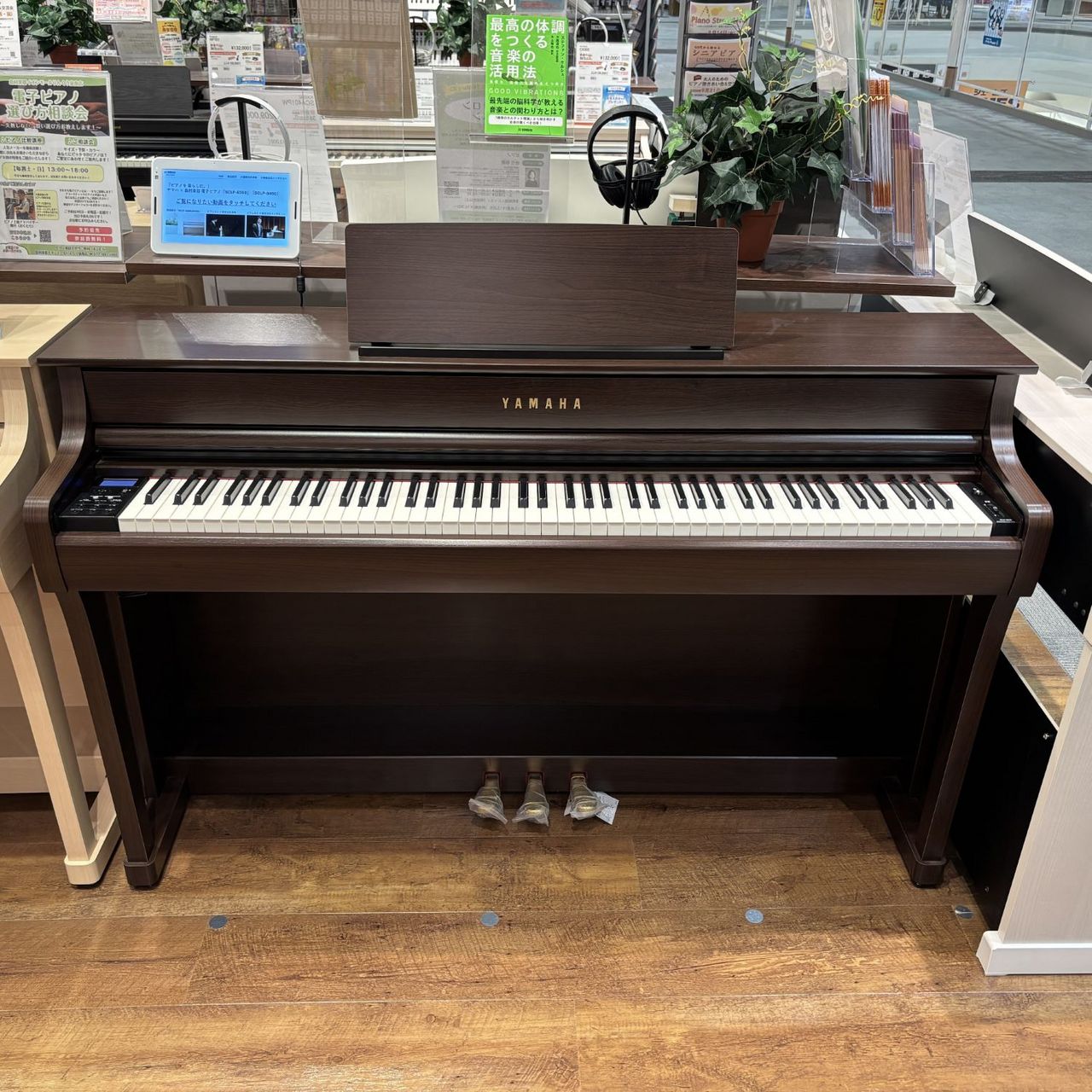 YAMAHA SCLP-8350 DA ダークアルダー（新品特価/送料無料）【楽器検索