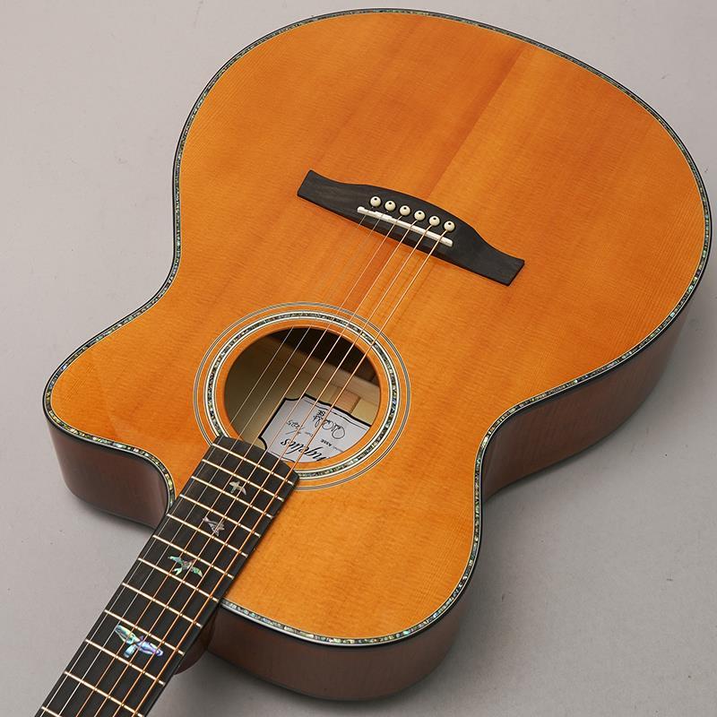 【 PRS 】ポールリードスミス SE Angelus A55EBG エレアコ PRS 】ポールリードスミス SE Angelus A55EBG エレアコ PRS SE