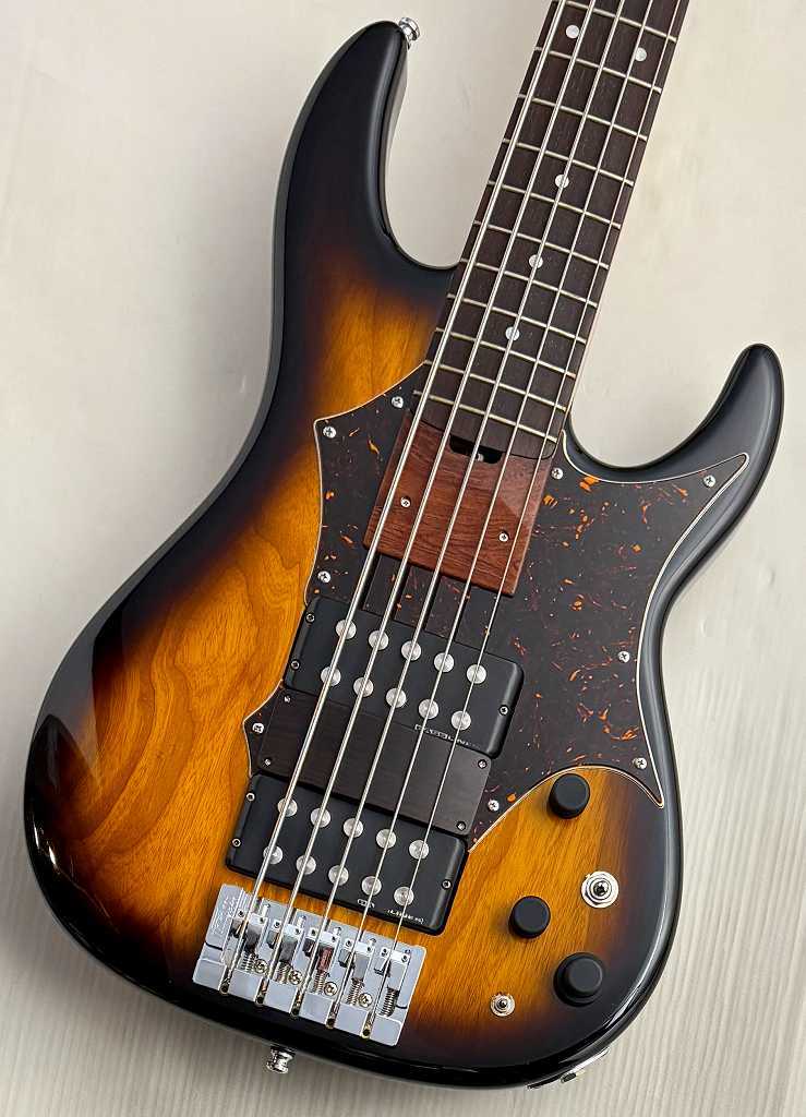 ESP AP SL5 Ash/Rose MOD【USED】（中古）［デジマートSALE］【楽器