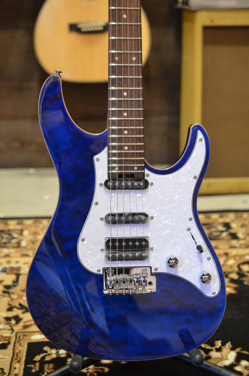 GrassRoots G-SNAPPER-CTM STB（新品）【楽器検索デジマート】