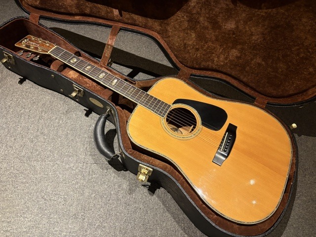 Morris TF-801（ビンテージ）【楽器検索デジマート】