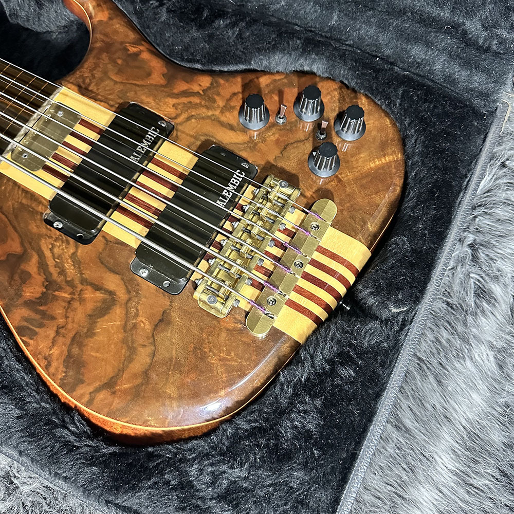 ALEMBIC Europa 6st FL（中古/送料無料）【楽器検索デジマート】