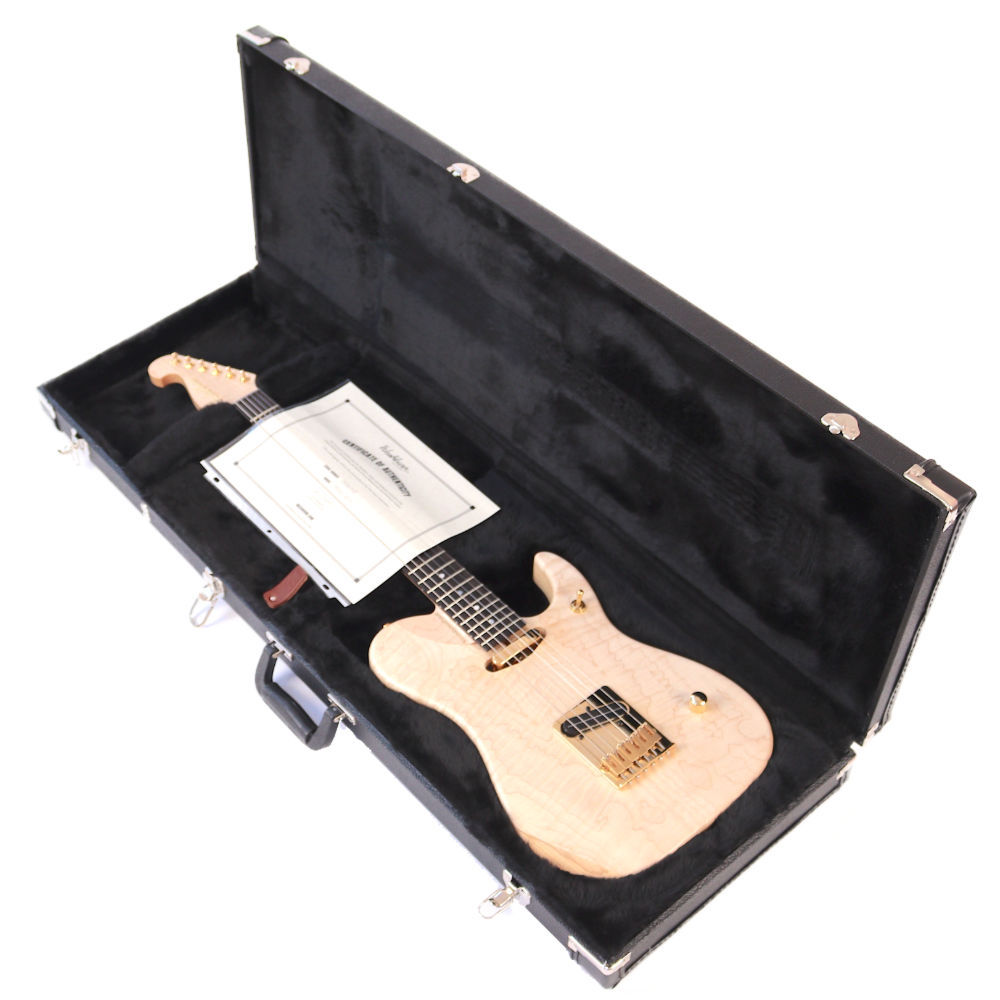 Washburn ワッシュバーン NELEDLX-D-U NELE DELUXE エレキギター（新品