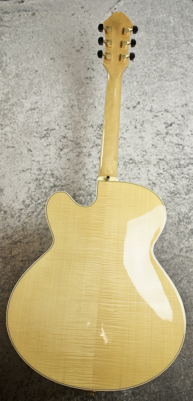 Fender Japan 【レアモデル!!】D'Aquisto Elite- Natural - 【E