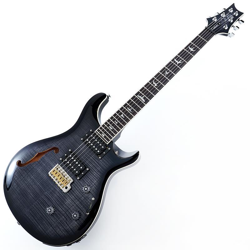 Paul Reed Smith(PRS) USED 中古 SE Custom 24 Semi-Hollow Piezo