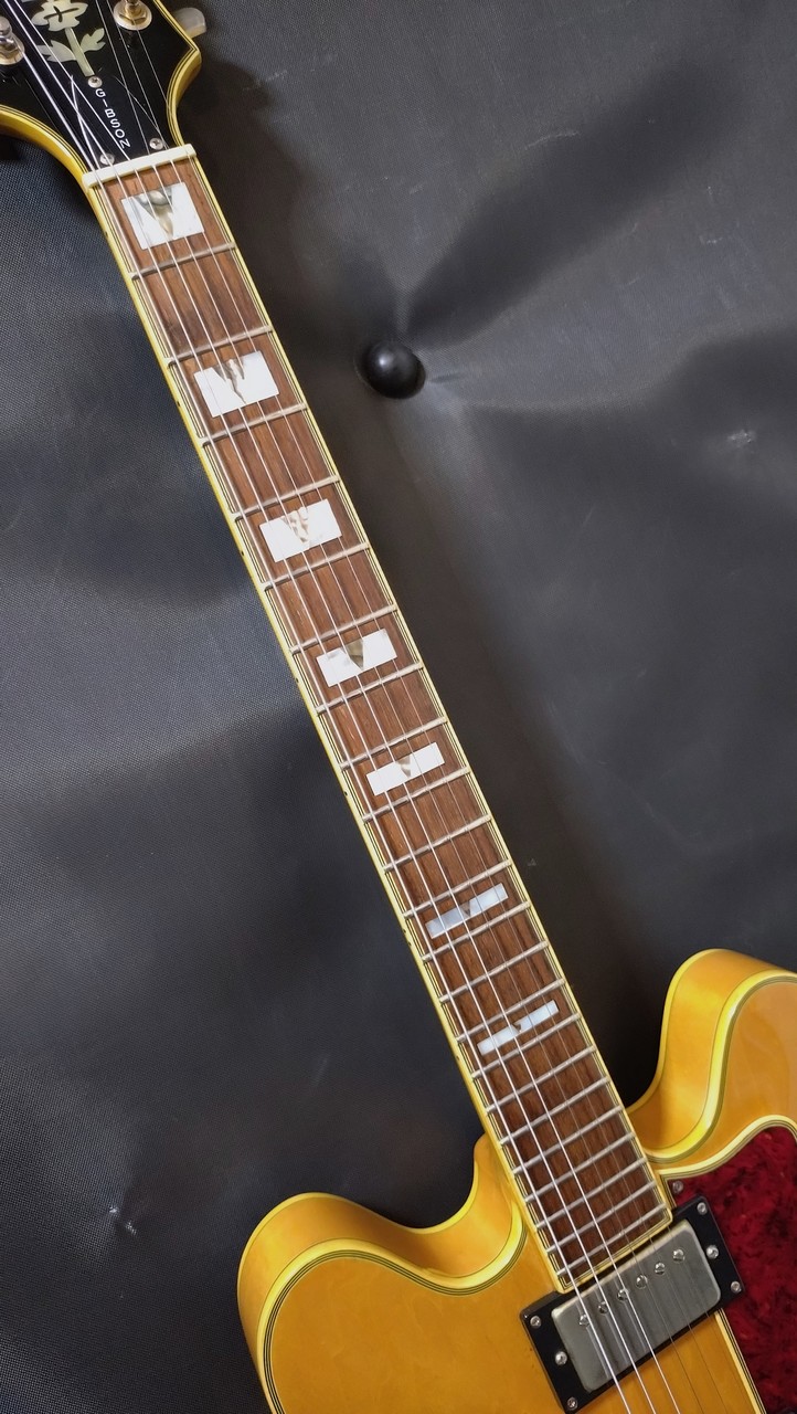Epiphone Sheraton II KOREA 1995（中古）【楽器検索デジマート】