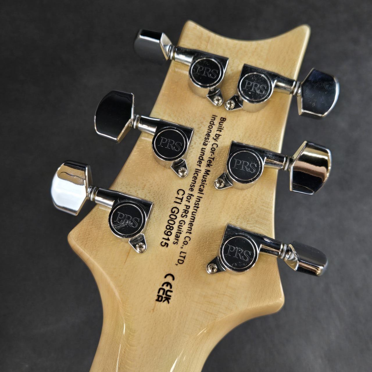 Paul Reed Smith(PRS) SE CUSTOM 24 ‐ Trampas Green【現物画像