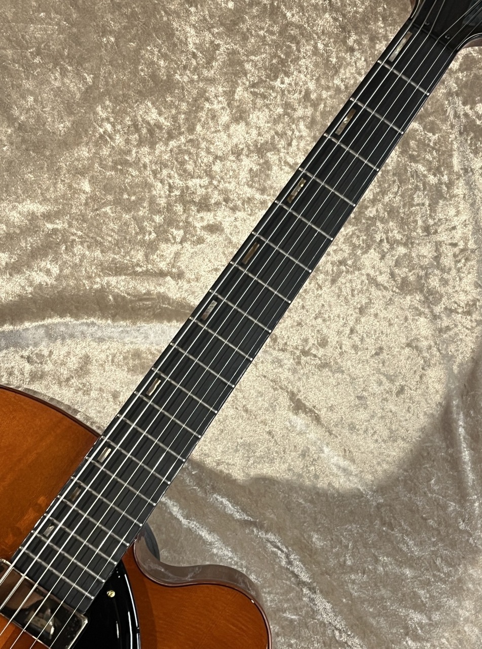 Ibanez 【NEW】 Artstar Series AFC151 Dark Amber sn25070244 [2.49kg